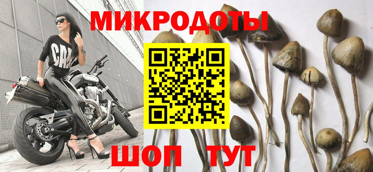 Галлюциногенные грибы Magic Shrooms  магазин продажи наркотиков  Сухой Лог  Галлюциногенные грибы мухоморы  Вход с VPN 