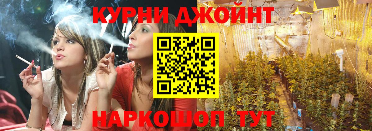 Бошки Шишки VHQ  Каннабис план  Вход с VPN  Сухой Лог 